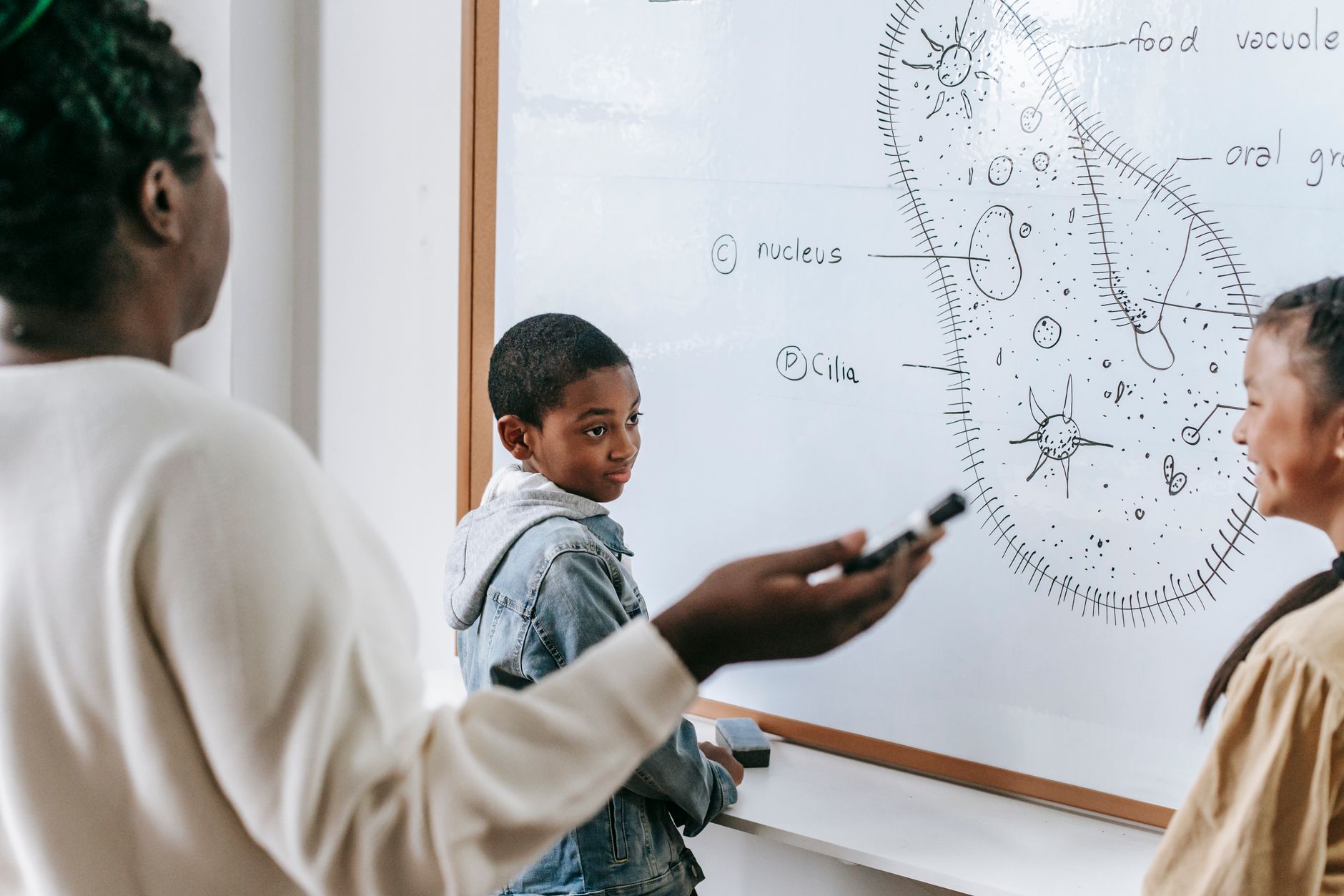 Students collaborating around a whiteboard on a group project, illustrating the project-based assessment used across the applied degrees